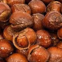 فندق با پوست نمکی 500گرم (محصول ایرانی قزوین)