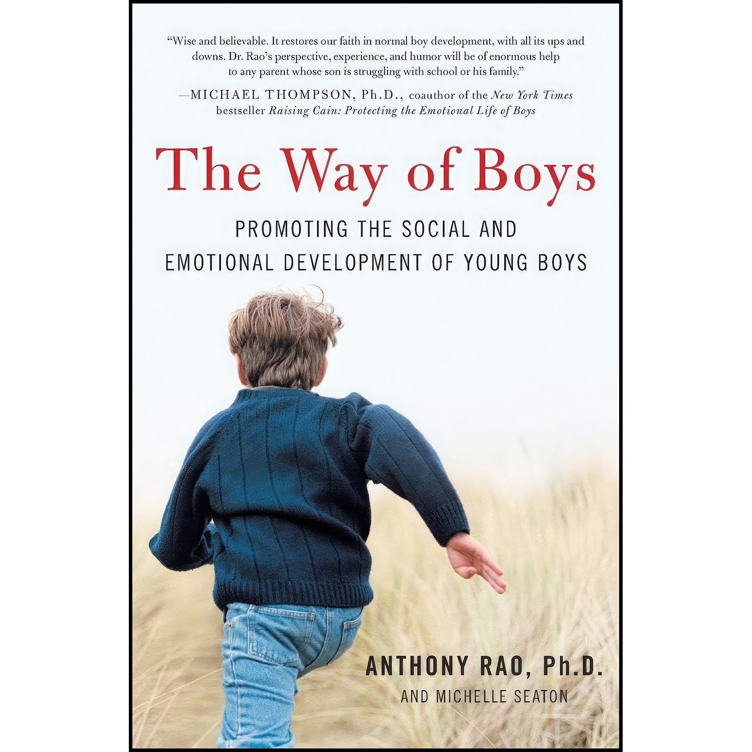 کتاب زبان اصلی The Way of Boys اثر Anthony Rao PhD and Michelle D Seaton
