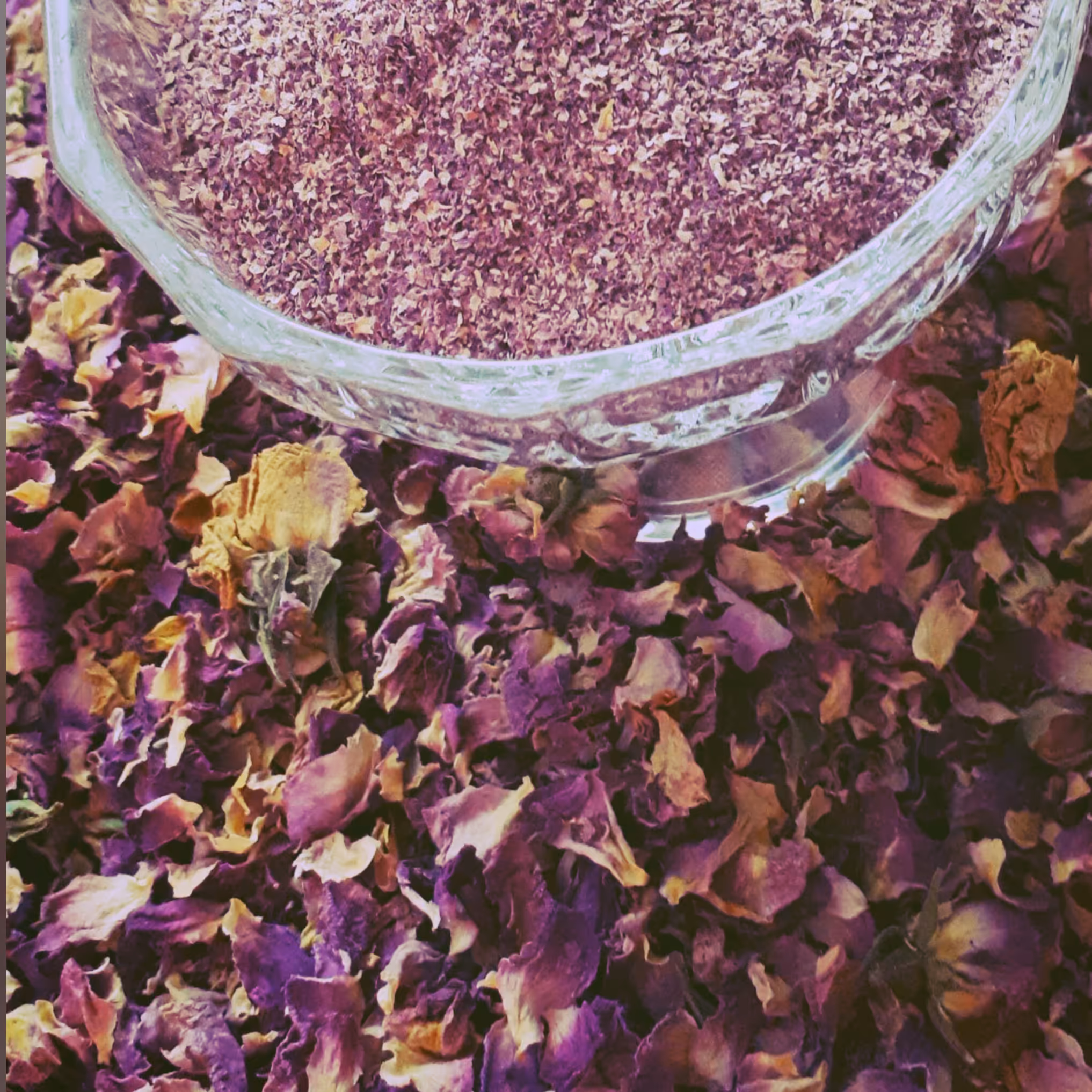 گلبرگ گل محمدی(50 گرمی)