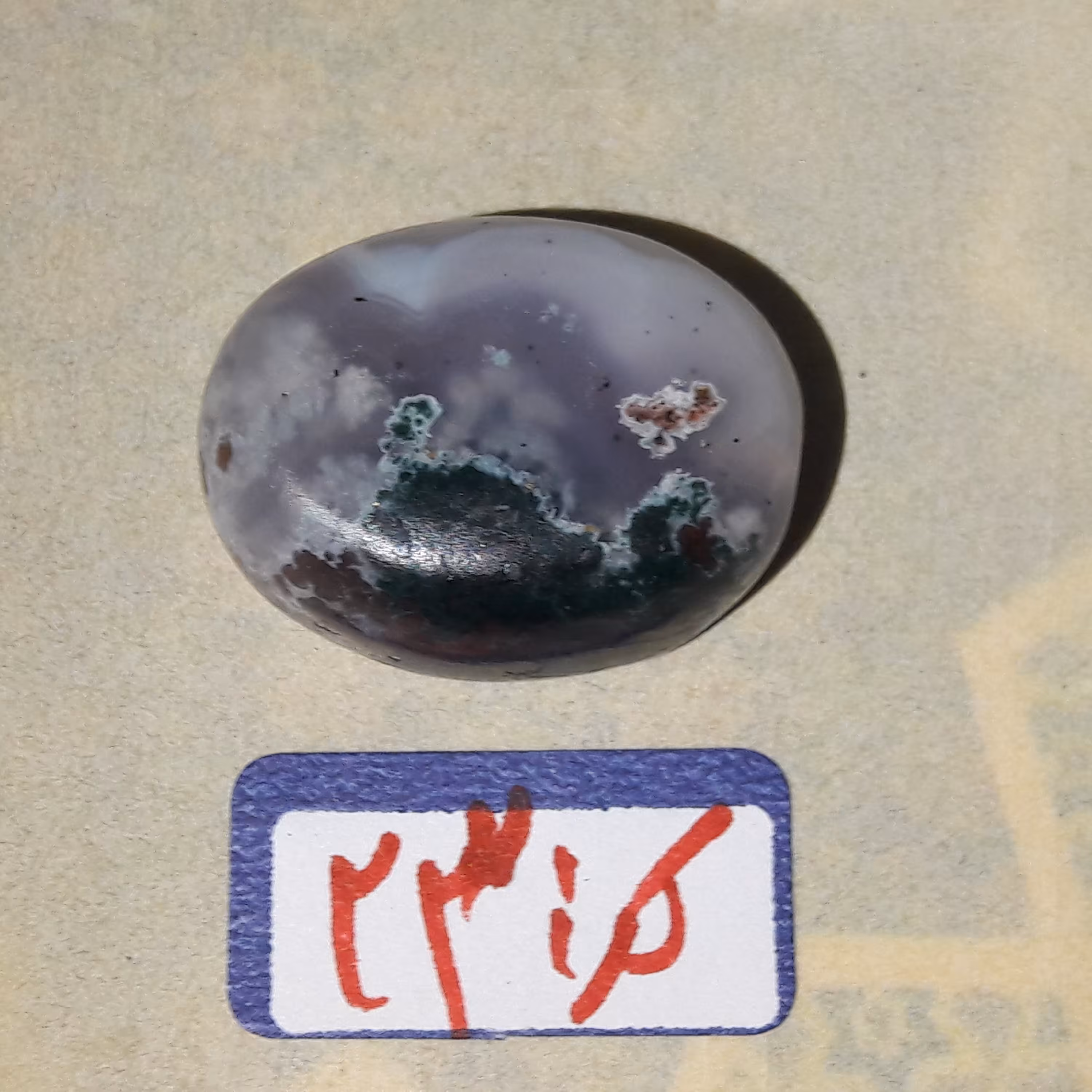 عقیق شجر دریایی کد 23