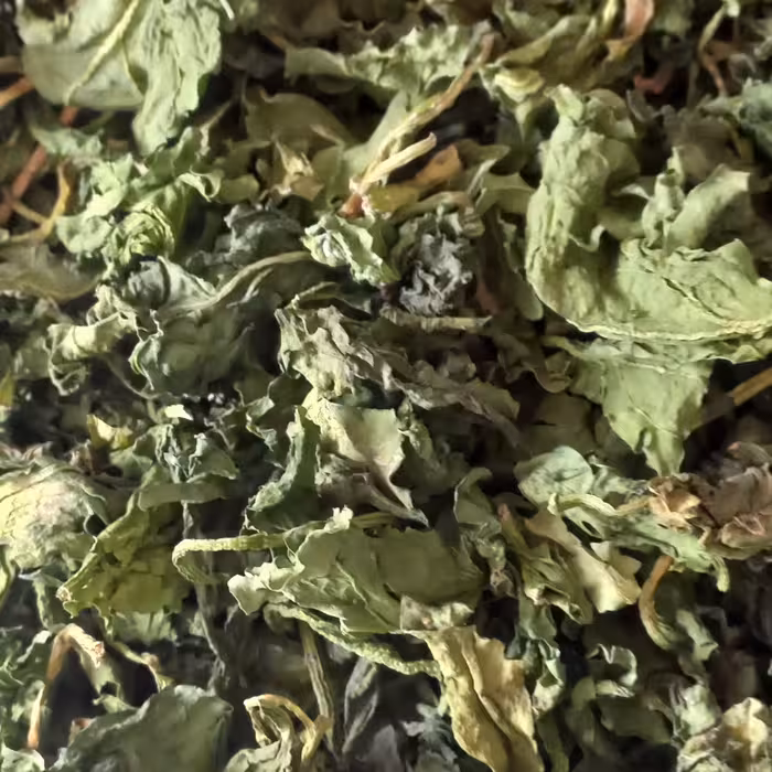 اسفناج خشک وعالی  100 گرم 95000