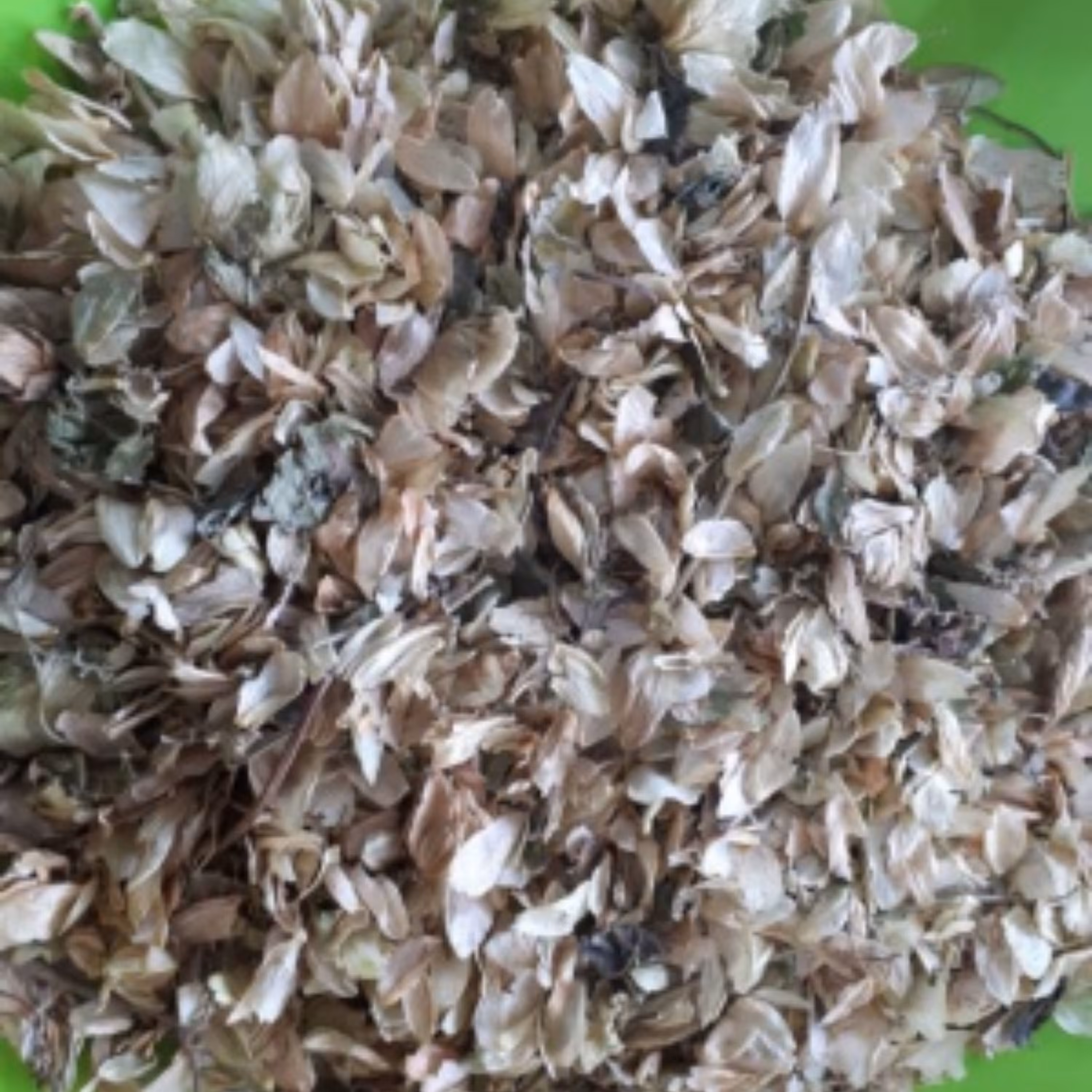 رازک (50 گرم)