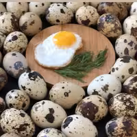 تخم بلدرچین