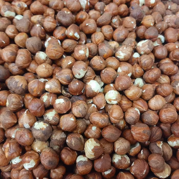 مغز فندق درشت 10 کیلویی ممتاز(تضمین کیفیت) ارسال رایگان