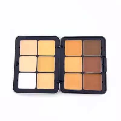 کانتور و کانسیلر پالتی کارلا سکرت دوازده رنگ کد E – 12