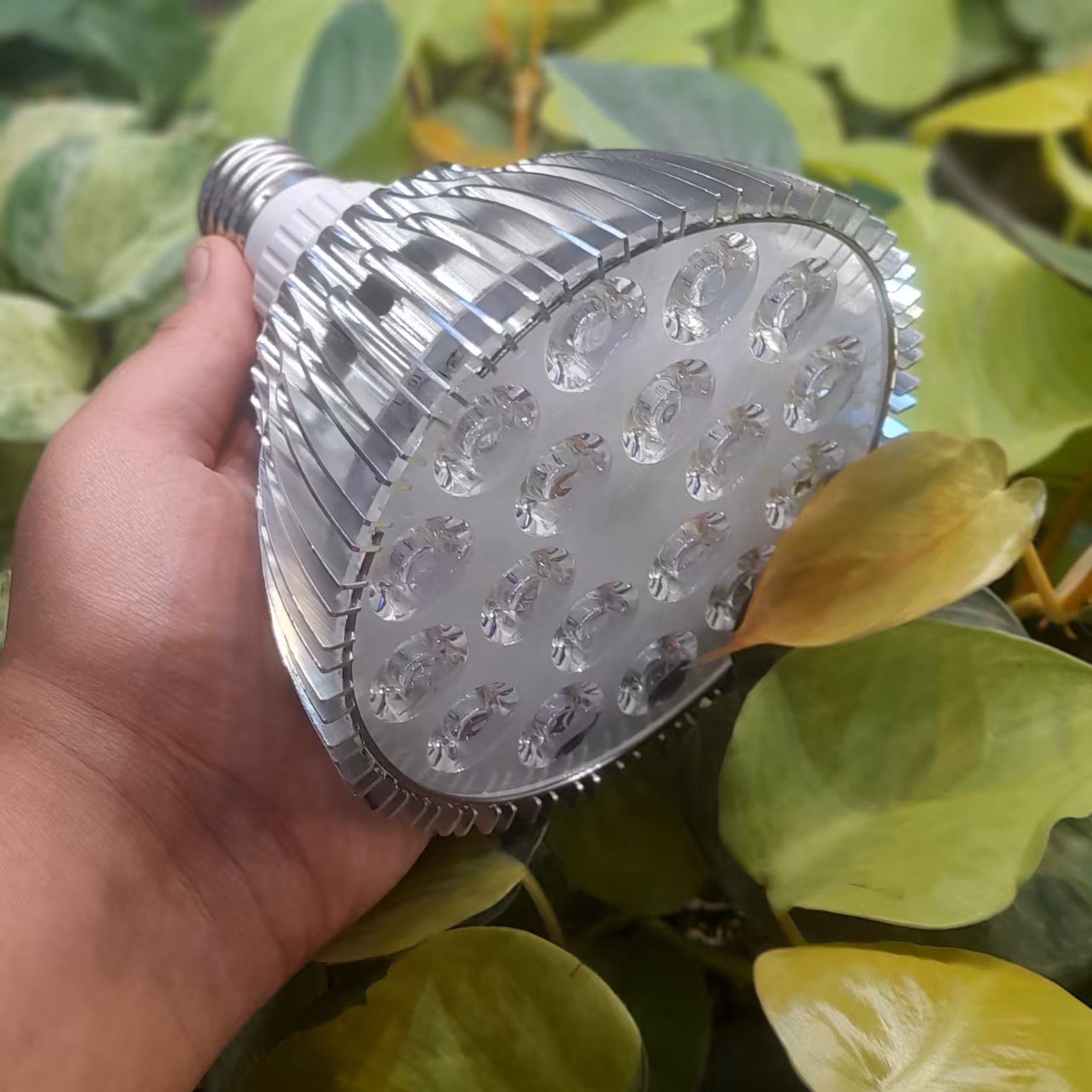 لامپ رشد  گیاه سرپیچی 18w سفید(نچرال) 