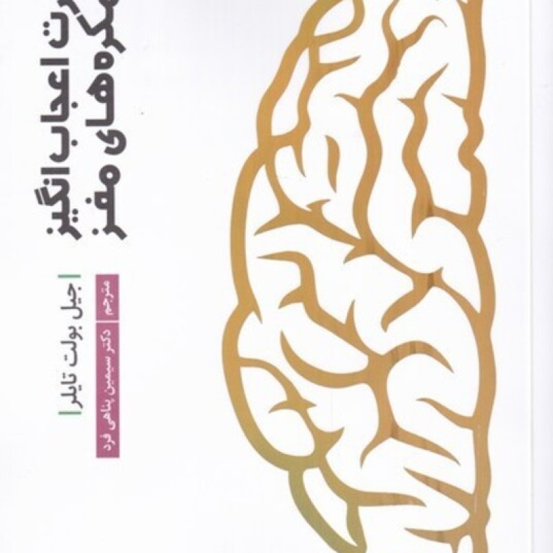 کتاب قدرت اعجاب انگیز نیمکرههای مغز