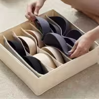 نظم دهنده لباس زیر  رایا 