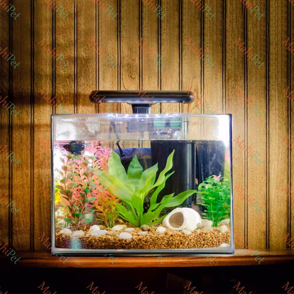آکواریوم شیشه جلو خم L-46 (46*28 ارتفاع 38) سری F-K بدون درب