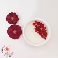 شمع کاسه ای گل سرخ