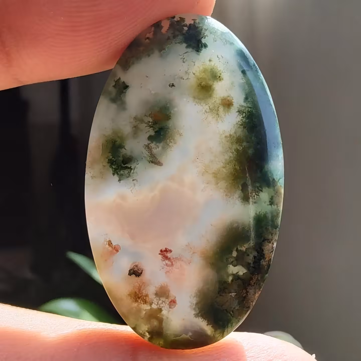 عقیق شجر منظره