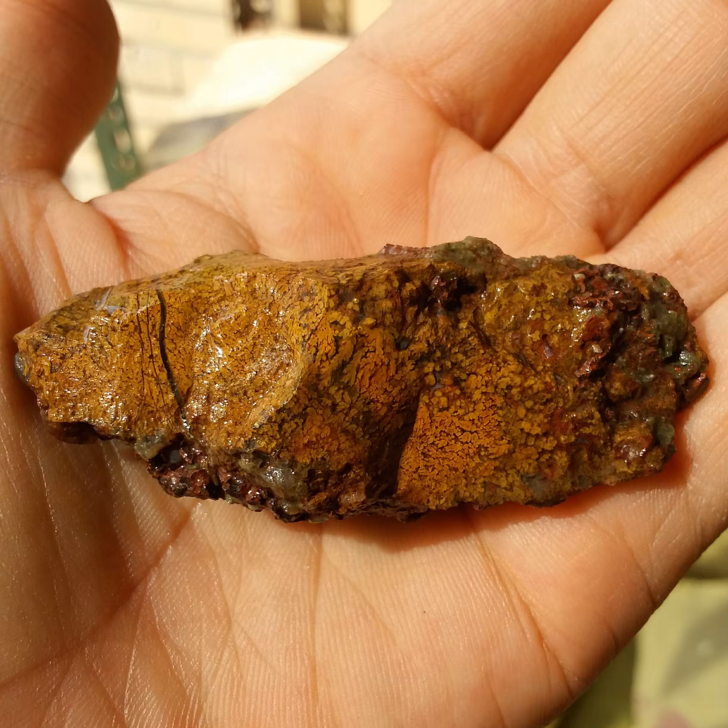 سنگ راف شجر پاییزی خاااص 100درصد طبیعی دیدنی