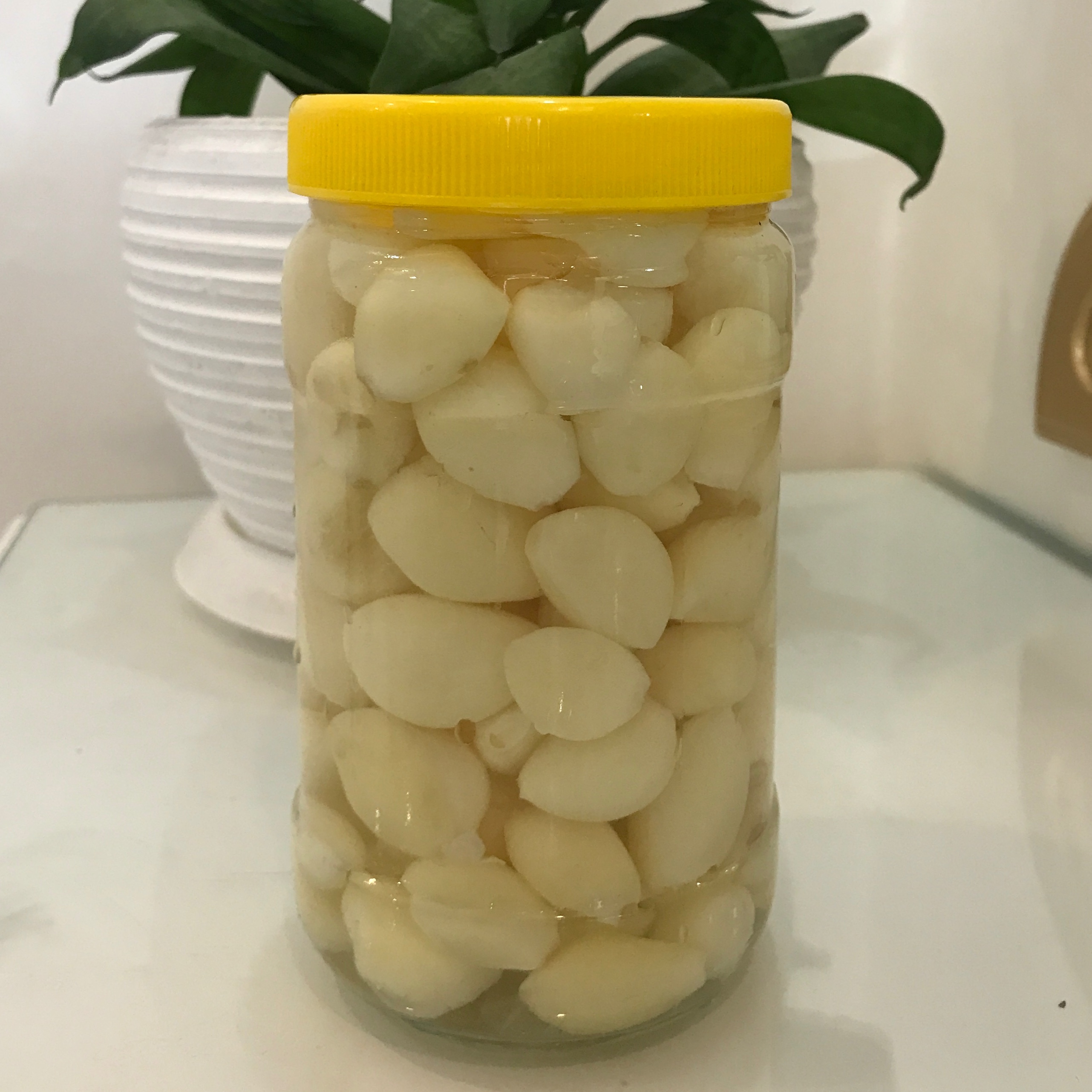 شور سیر اعلا و درجه یک همدان یک کیلوگرمی