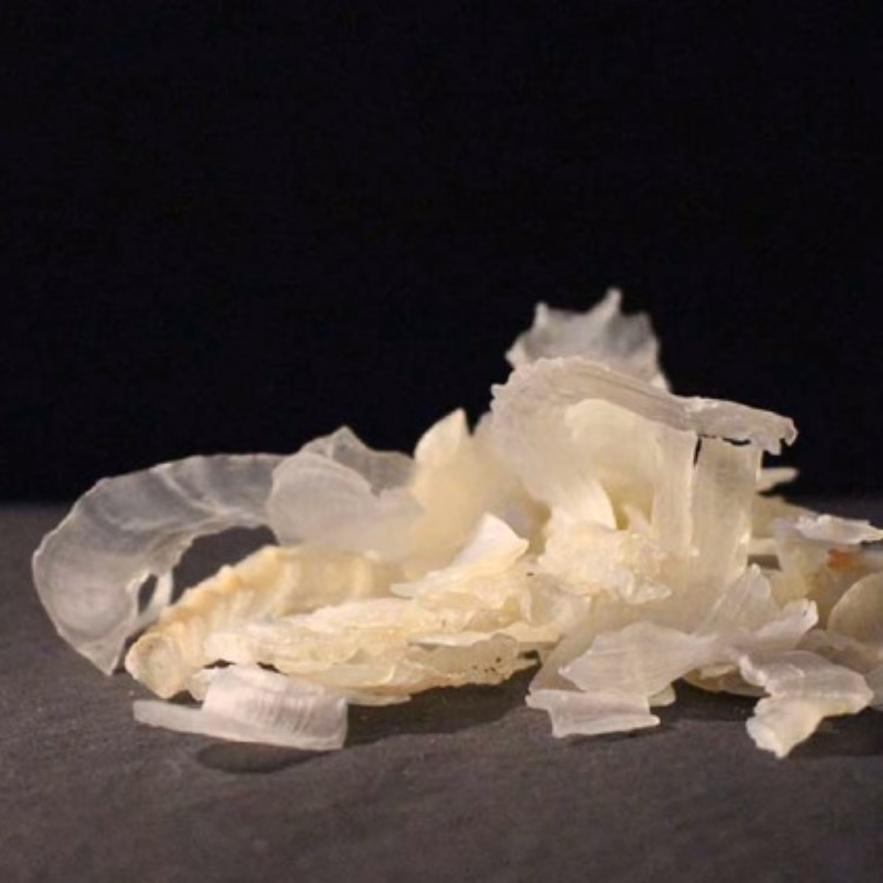 کتیرا 25 گرمی