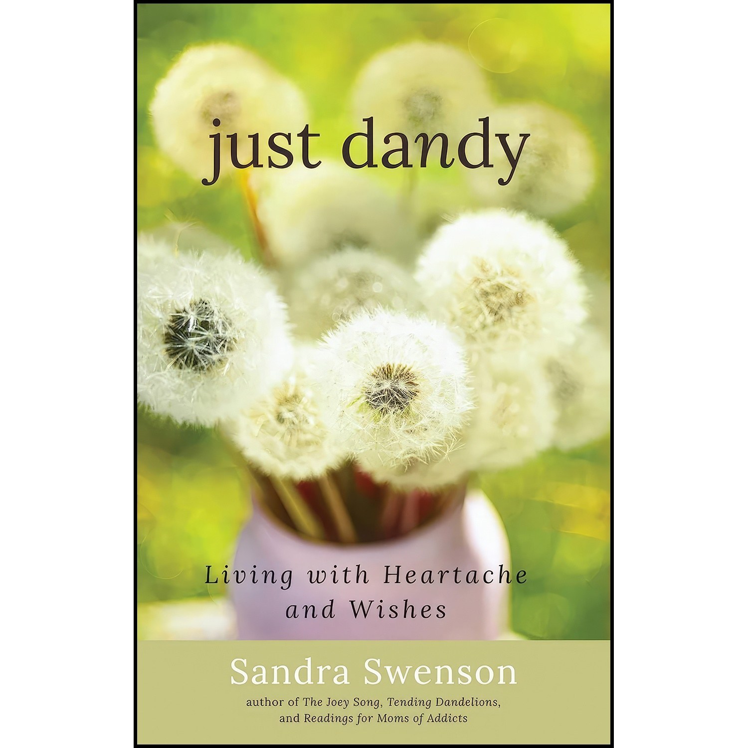 کتاب زبان اصلی Just Dandy اثر Sandra Swenson