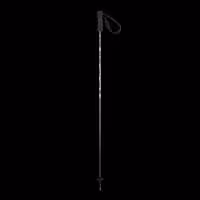 باتوم اسکی آلپاین ELAN SPEEDROD BLACK 2025