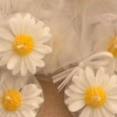 گیفت شمع بابونه