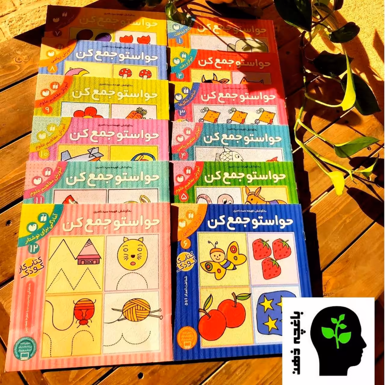 مجموعه کتاب حواستو جمع کن