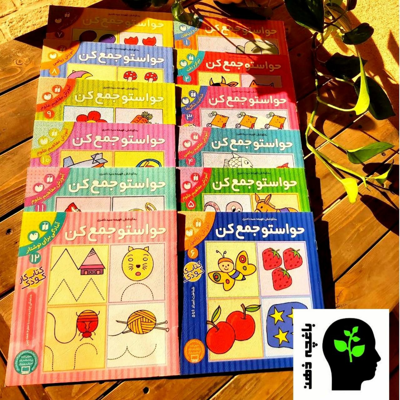 مجموعه کتاب حواستو جمع کن
