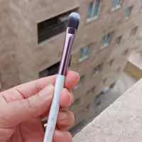 براش سر گرد بی اچ 