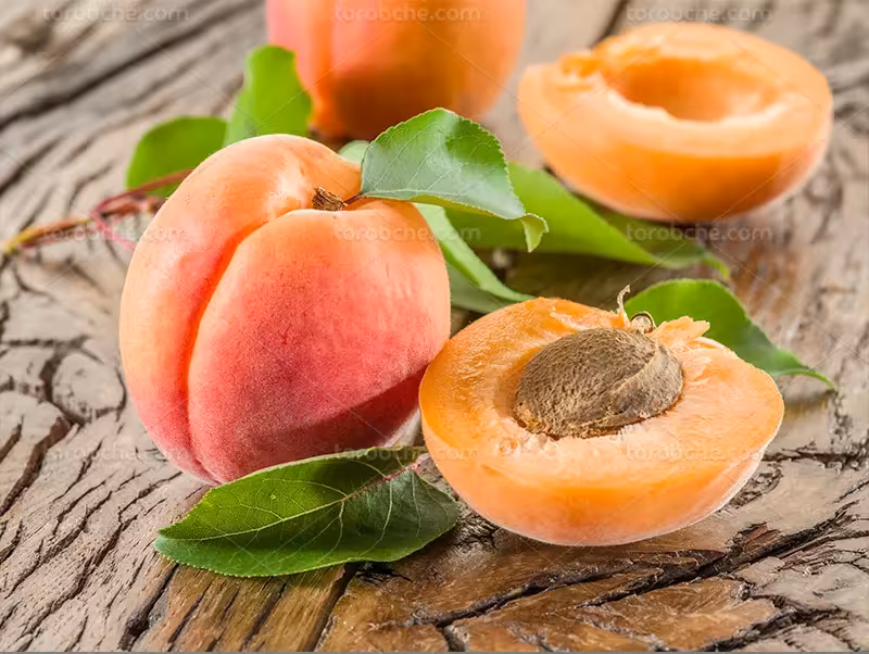 عکس زرد آلو تازه و خوشمزه | گرافیک با طعم تربچه