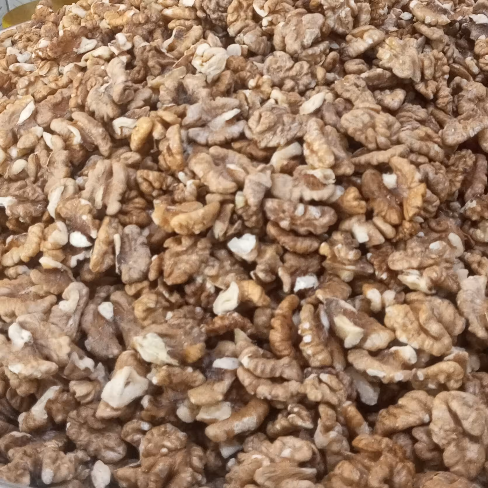 مغز گردو ایرانی