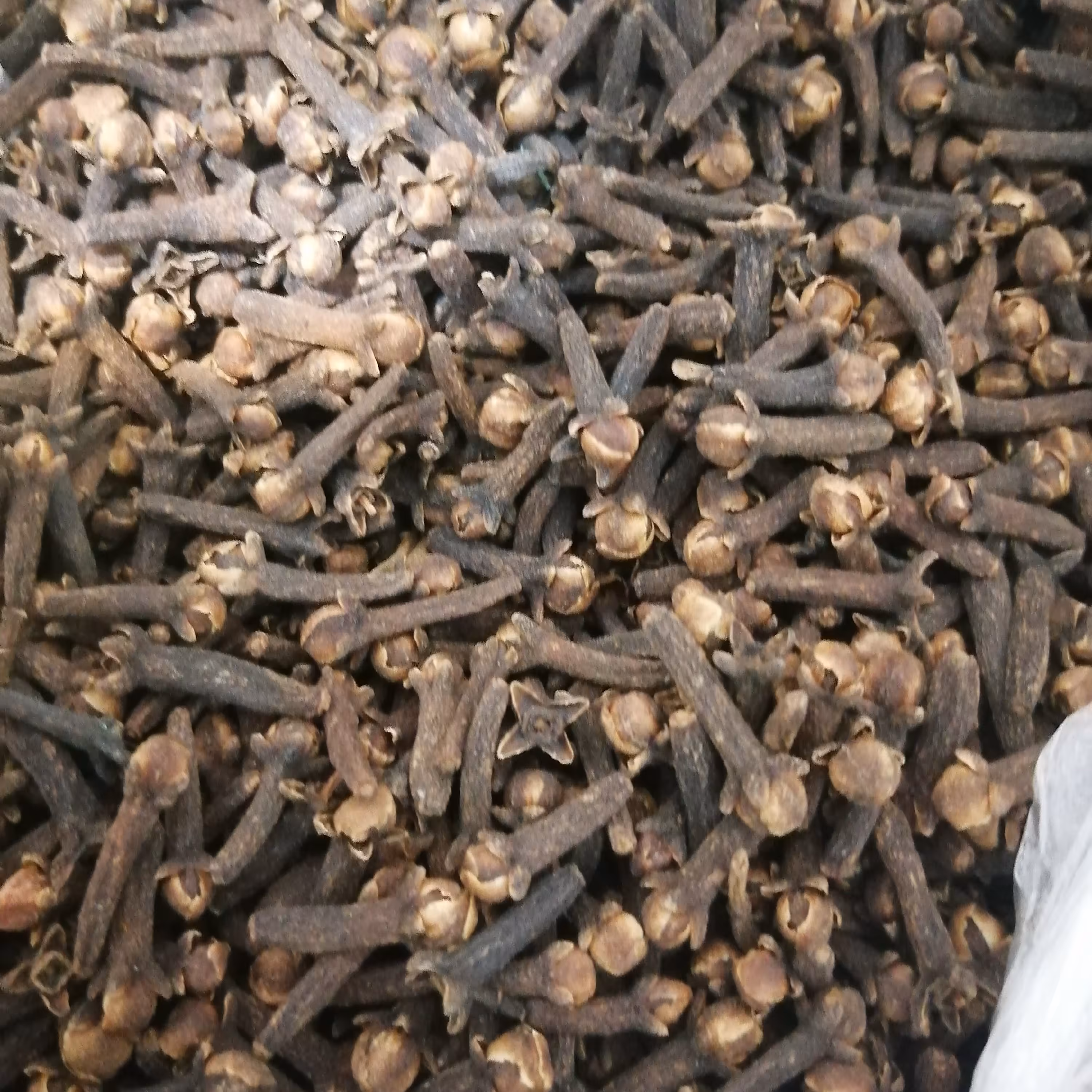 میخک ناساب اعلا معطر بسته 30 گرمی