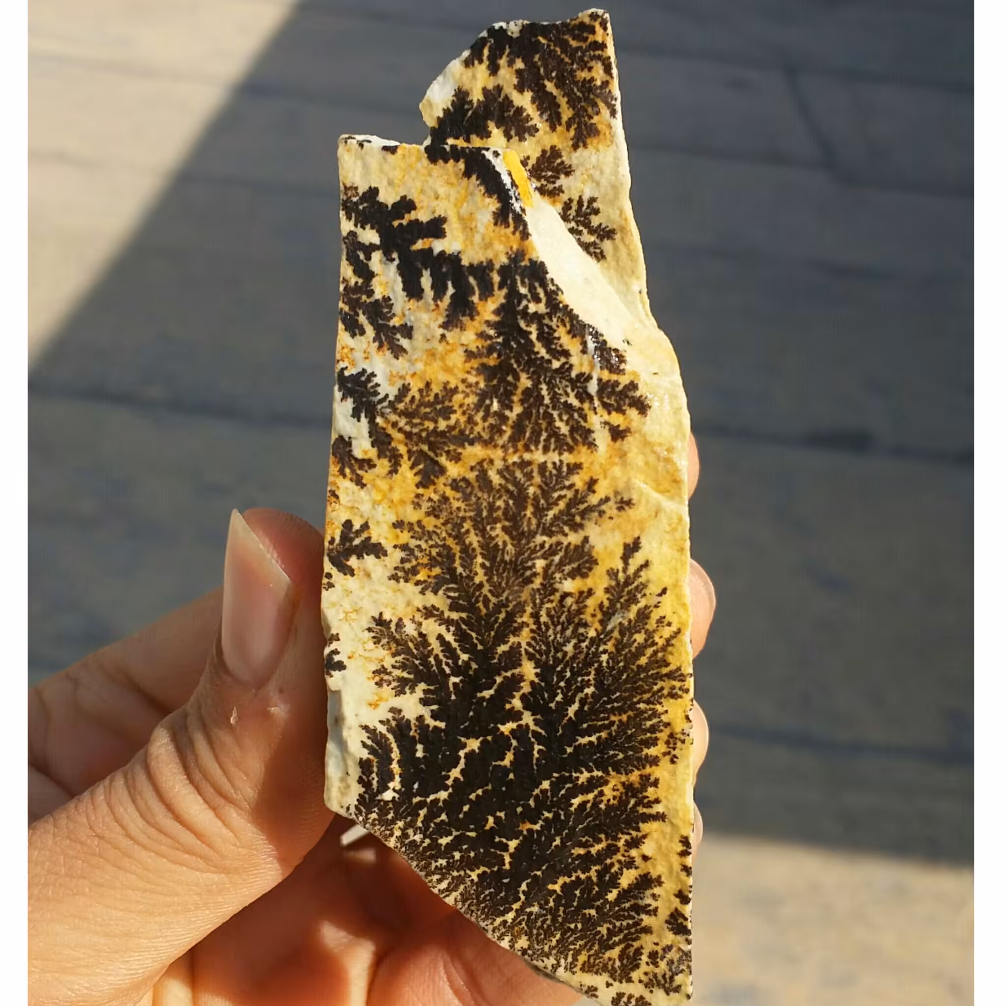 سنگ راف 100 در 100 طبیعی شجر دندریتی یا فسیلی محشر خاص شاهکار خلقت
شجر واضح خاص
تصویر از 4 طرف نمونه بی نظیر
کد 9460