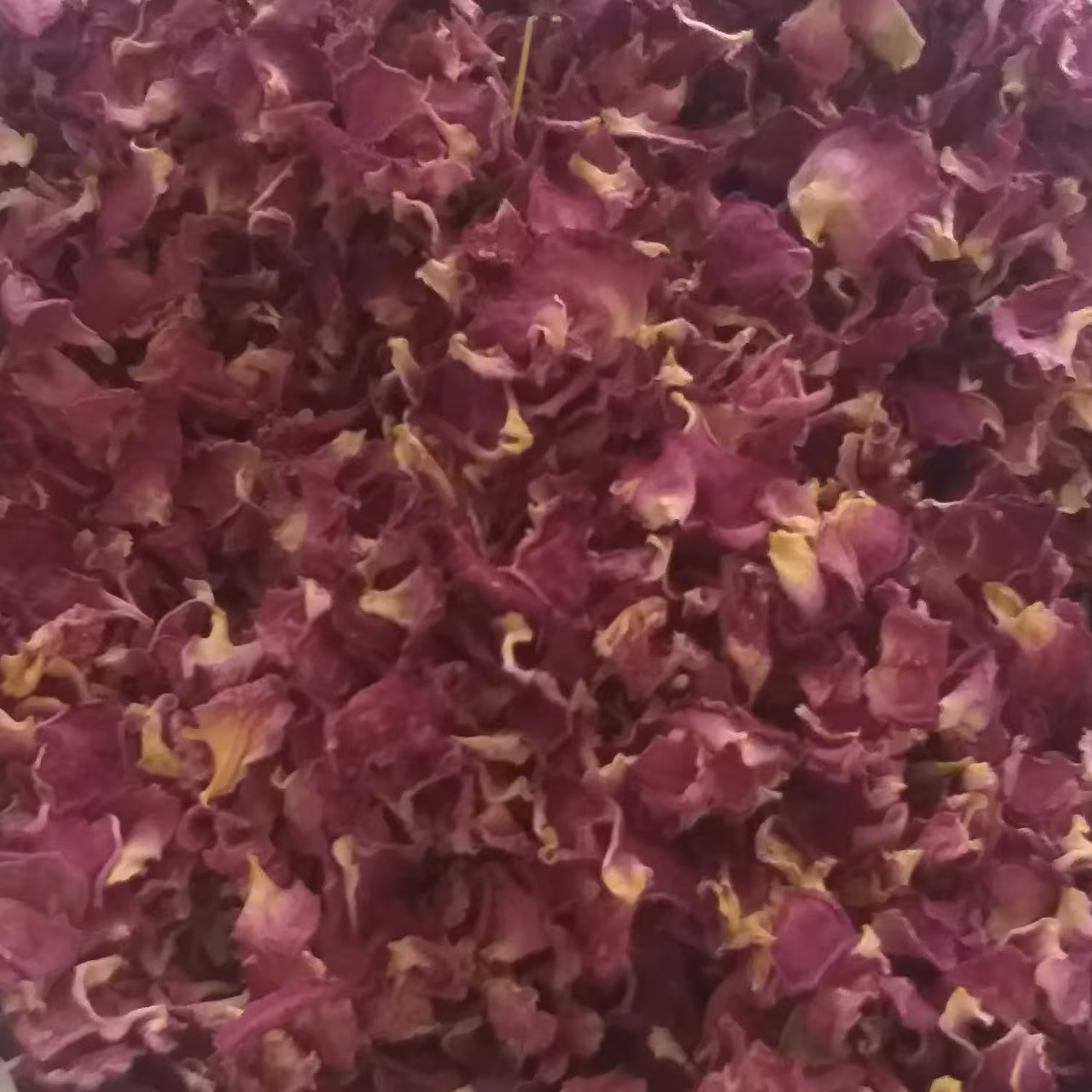 پرگل محمدی خشک امساله 50 گرمی به همراه پودر گل محمدی 50 گرمی  و گلنار فارسی  مخصوص مربا  و تزیینات با   با ارسال رایگان 