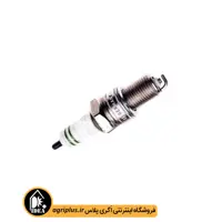 شمع سمپاش موتور روبین