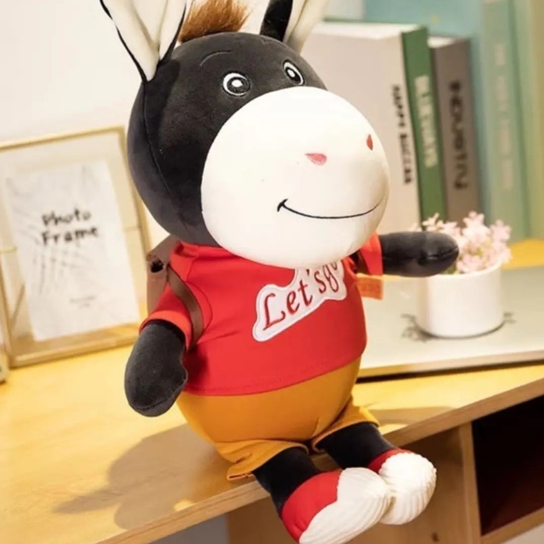 عروسک الاغ دانشجو با ارسال رایگان