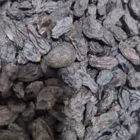 مویز بدون هسته