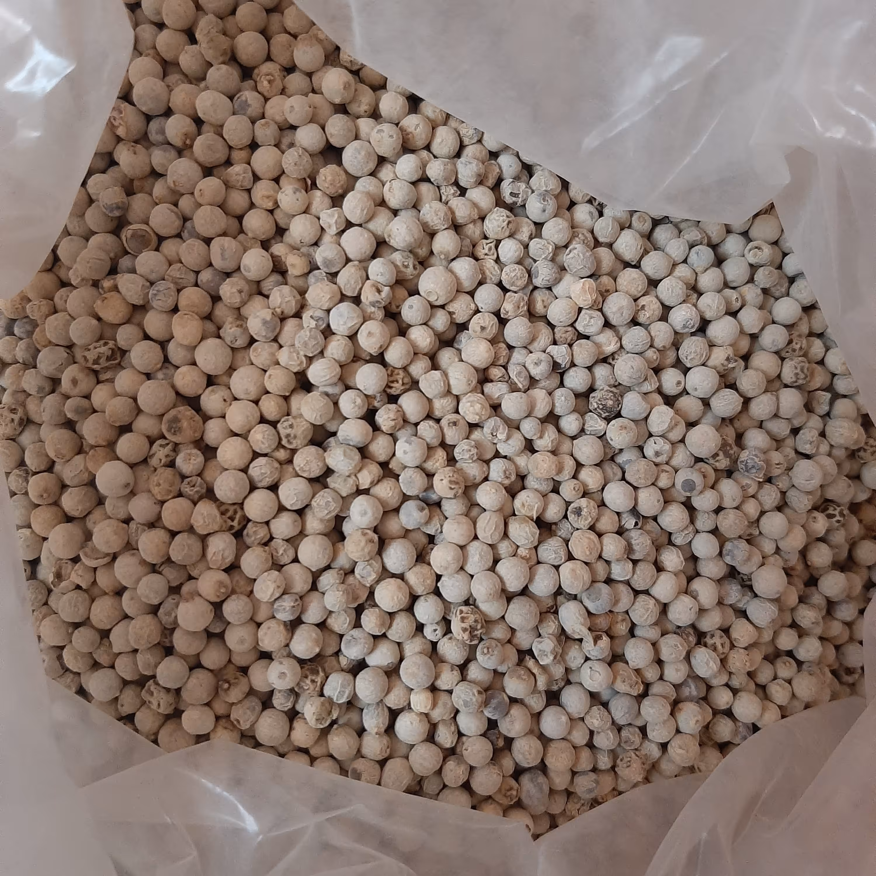 فلفل سفید نیم کیلویی