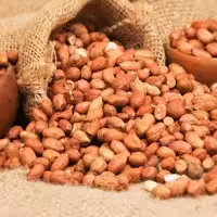 بادام زمینی  آستانه اشرفیه 1 کیلوگرمی 