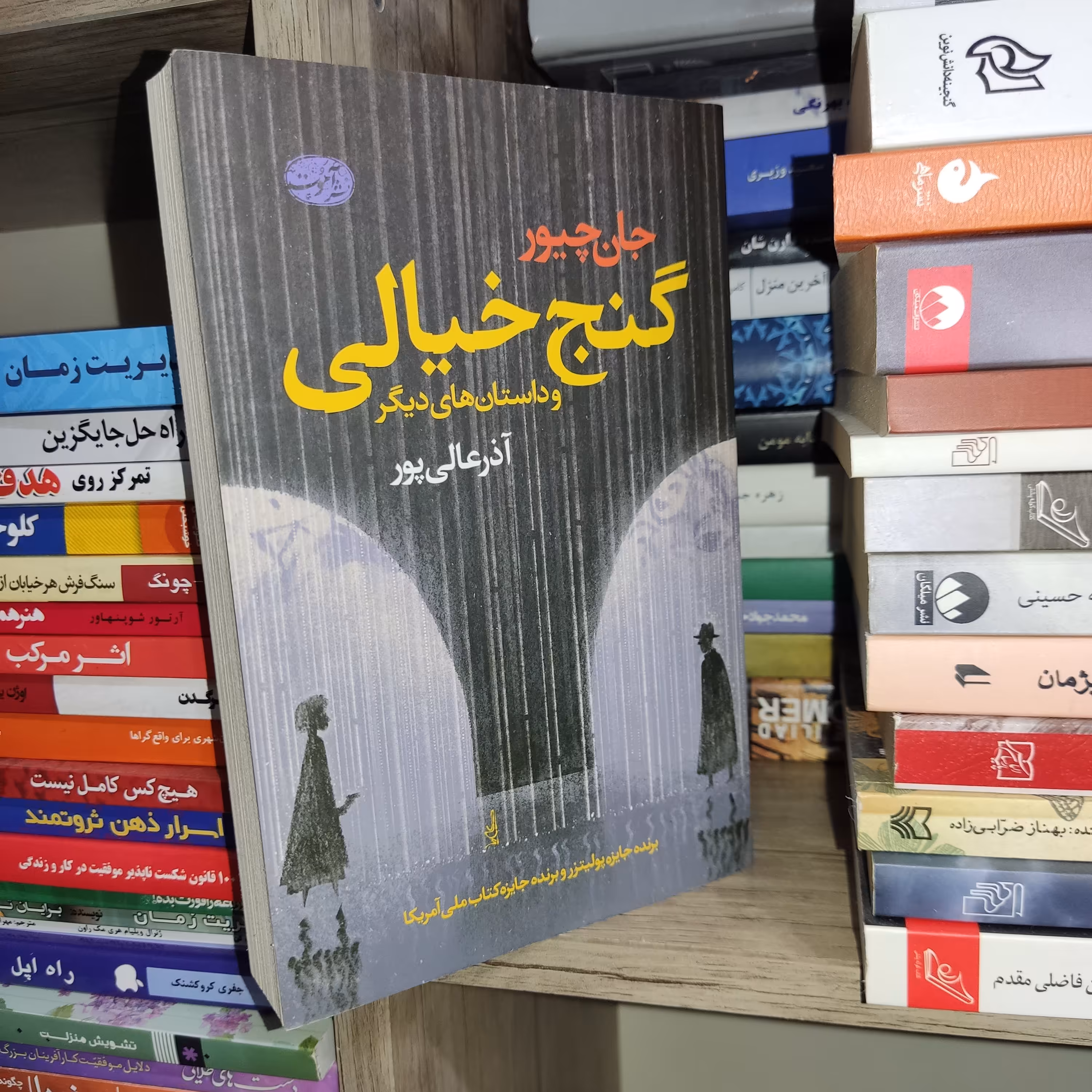 کتاب گنج خیالی و داستان های دیگر اثر جان چیور - نشر آموت