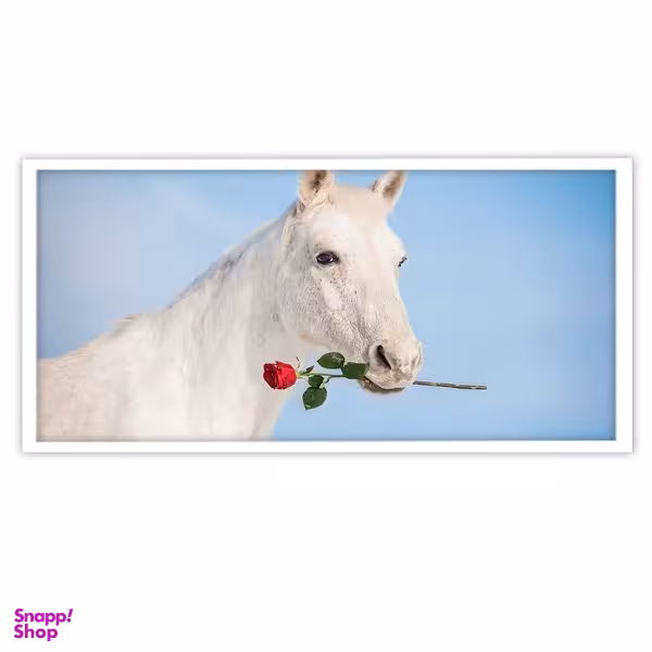 تابلو بکلیت طرح اسب سفید مدل W-S3866