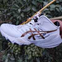 کتونی و کفش والیبال هندبال بسکتبال  اسیکس متارایز کوالیتی در حد اورجینال ویتنام Asics Metarise رنگ سفید طلایی

