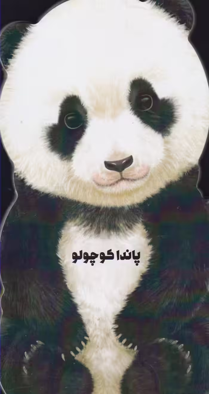 کتاب داستان زندگی پاندا کوچولو اثر جیووانی کاویزل