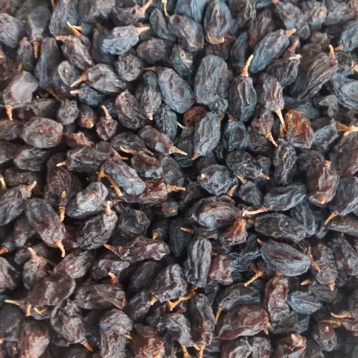 مویز کوهی آفتابی کاملا ارگانیک یک کیلویی تازه