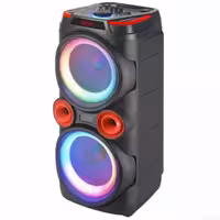 اسپیکر ترولی حرفه ای مدل NDR X910