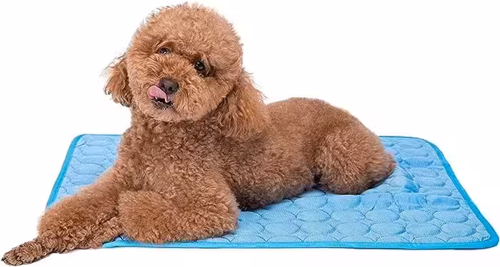 قیمت خرید تشک سگ و گربه مناسب فصل تابستان مارک athongsakw