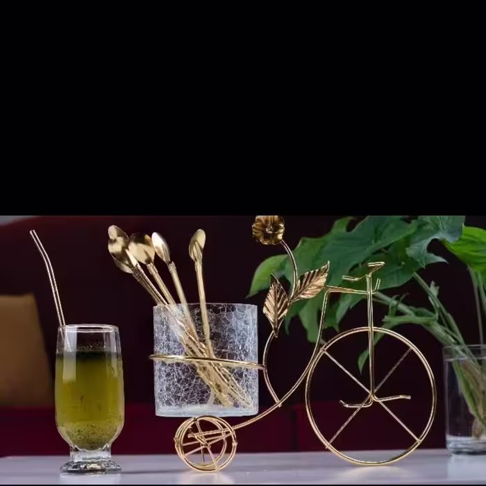 جاقاشقی دوچرخه
