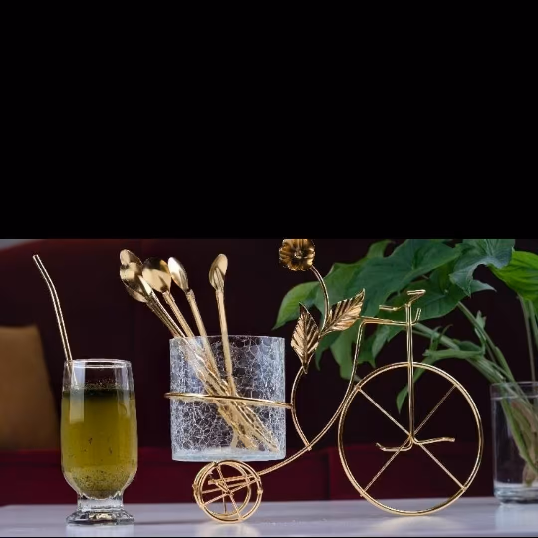 جاقاشقی دوچرخه
