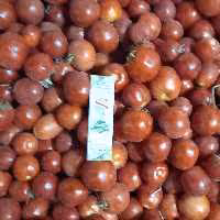 رب گوجه محلی