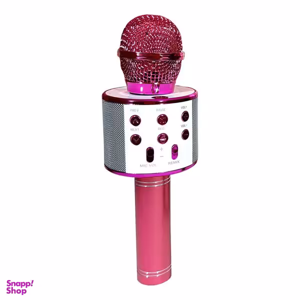 میکروفون اسباب بازی مدل ws