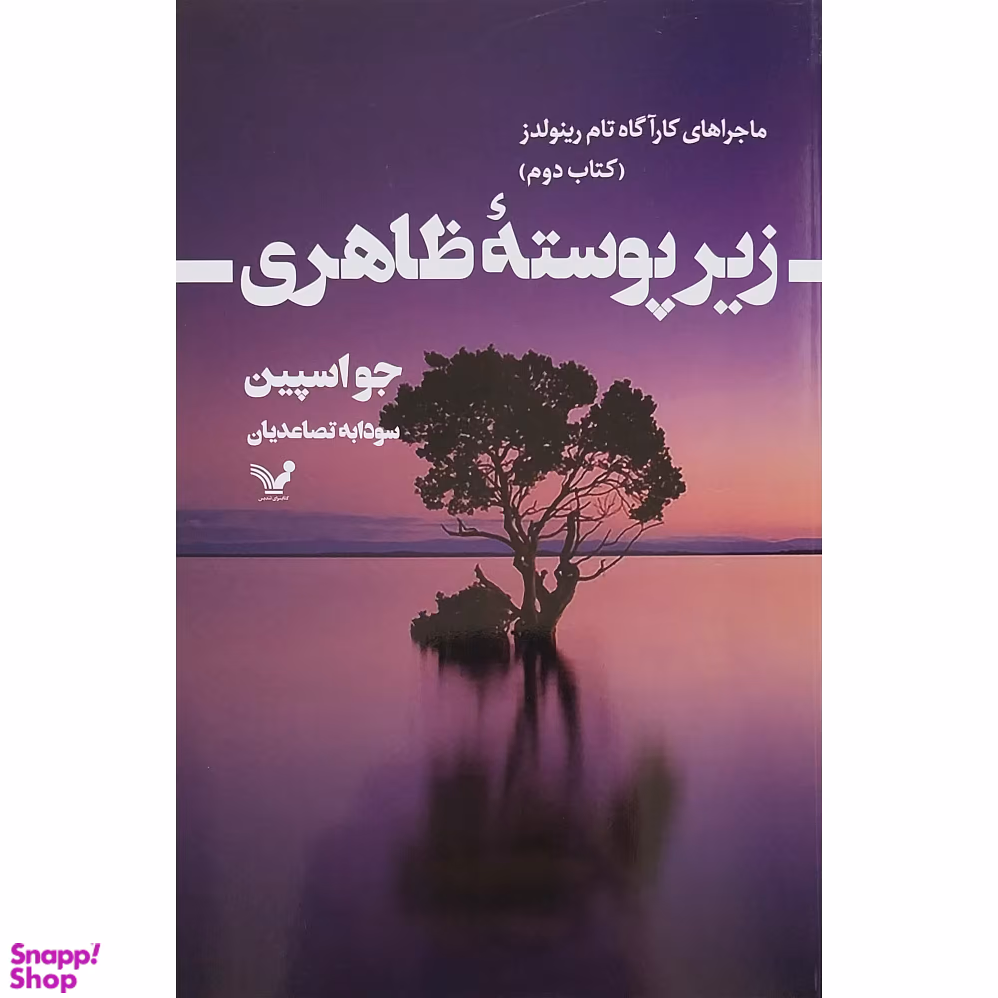 کتاب زير پوسته ظاهري 2 كارآگاه رينولدز اثر جو اسپين انتشارات کتابسرای تنديس