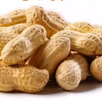 بادام زمینی باپوست فدک (250گرم)