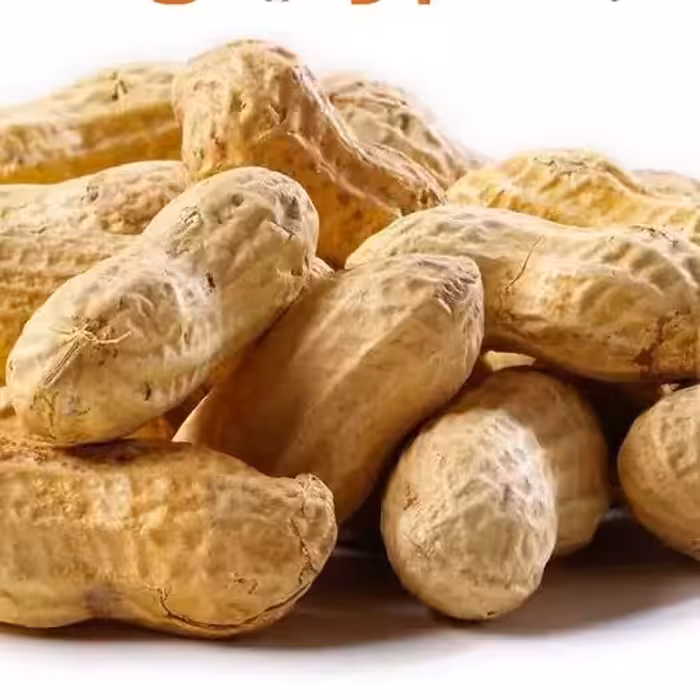 بادام زمینی باپوست فدک (250گرم)