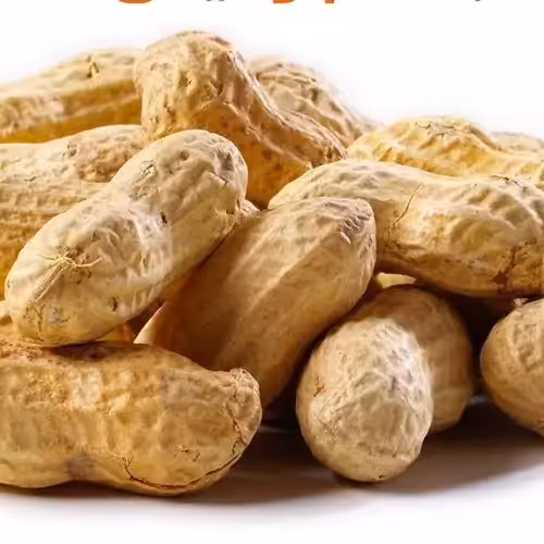 بادام زمینی باپوست فدک (250گرم)