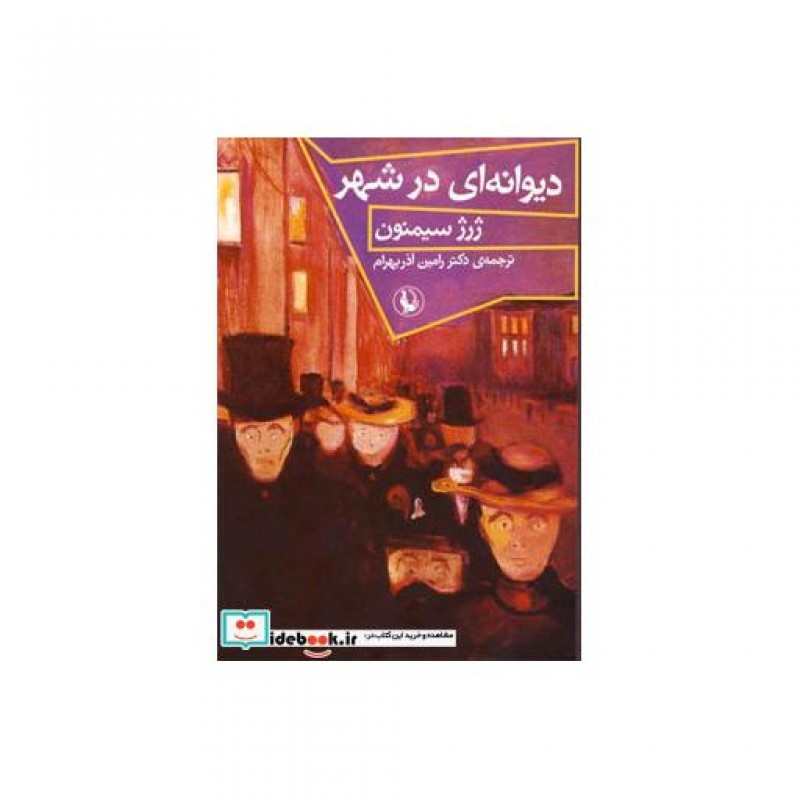 کتاب دیوانه ای در شهر